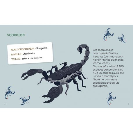 MES INSECTES A DETERRER