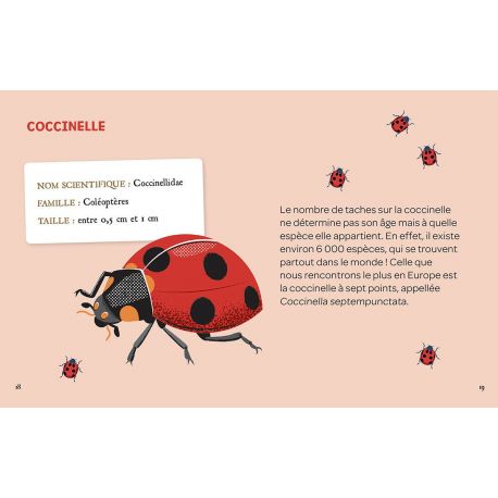 MES INSECTES A DETERRER