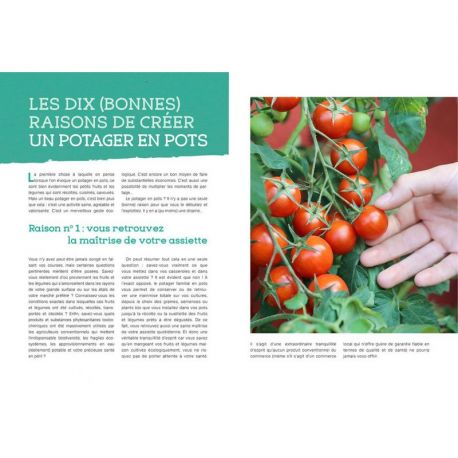 UN POTAGER EN POTS