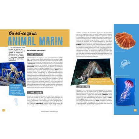 MA PETITE ENCYCLO DES ANIMAUX MARINS