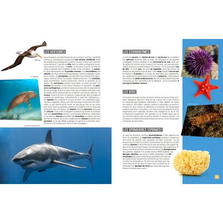 MA PETITE ENCYCLO DES ANIMAUX MARINS