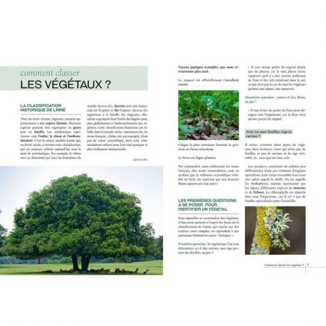 GUIDE D'INITIATION A LA BOTANIQUE