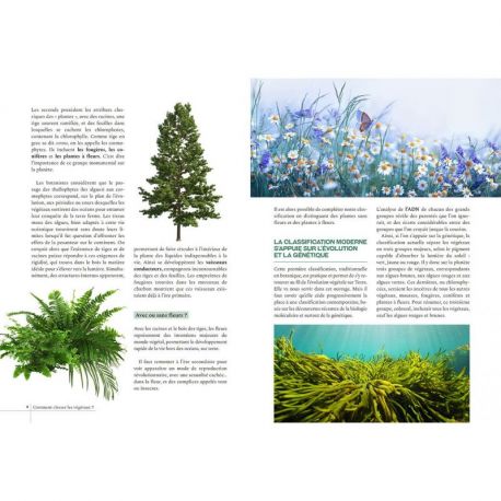 GUIDE D'INITIATION A LA BOTANIQUE