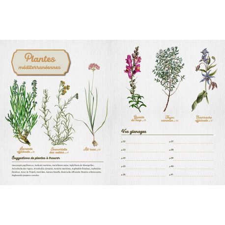 HERBIER A COMPLETER AU FIL DE VOS BALADES
