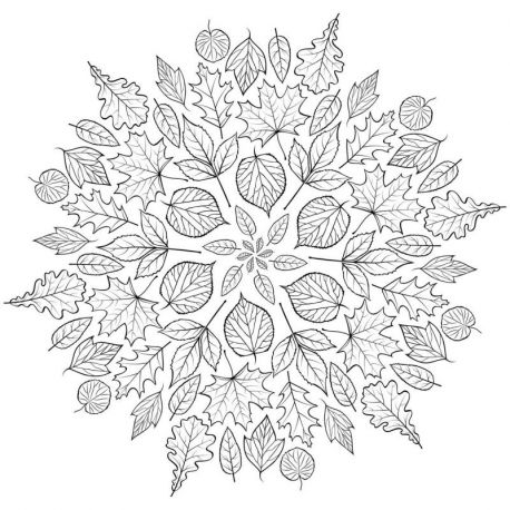 NATURE - 50 MANDALAS
