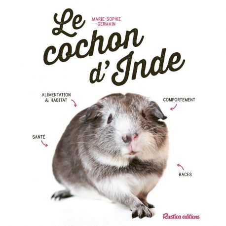 LE COCHON D'INDE