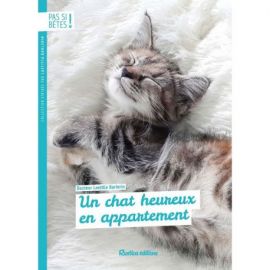 UN CHAT HEUREUX EN APPARTEMENT