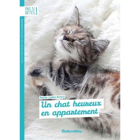 UN CHAT HEUREUX EN APPARTEMENT