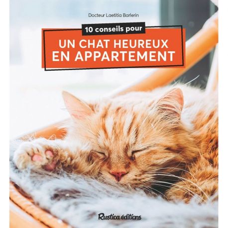10 CONSEILS POUR UN CHAT HEUREUX EN APPARTEMENT