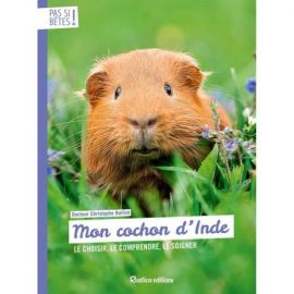 MON COCHON D'INDE - LE CHOISIR LE COMPRENDRE - LE SOIGNER
