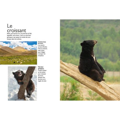LA-HAUT, MONTAGNES DU MONDE ETONNANTS ANIMAUX