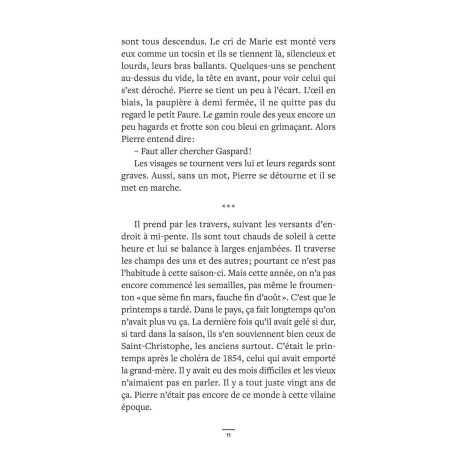 LE ROMAN DE GASPARD DE LA MEIJE POCHE