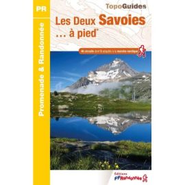 LES DEUX SAVOIES A PIED D743