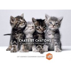 CHATS ET CHATONS 2026 AGENDA - CALENDRIER