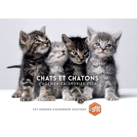 CHATS ET CHATONS 2026 AGENDA - CALENDRIER