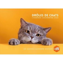 DROLES DE CHATS 2026 AGENDA - CALENDRIER