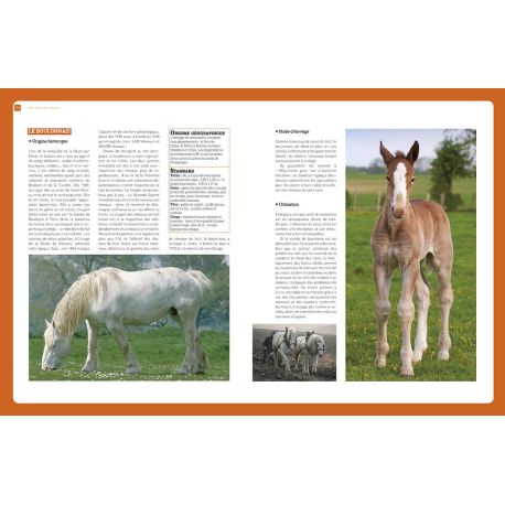 ENCYCLOPEDIE PRATIQUE DU CHEVAL ET DU CAVALIER
