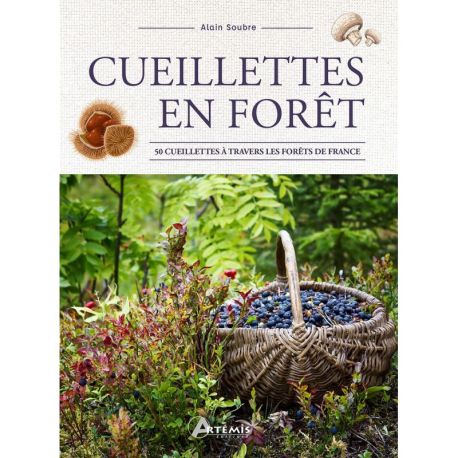 CUEILLETTES EN FORET