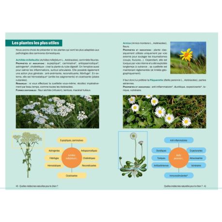 REMEDES NATURELS POUR MON CHIEN