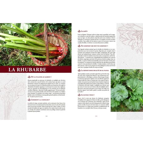 ELIXIRS GOURMANDS DES JARDINS ET DES CHAMPS