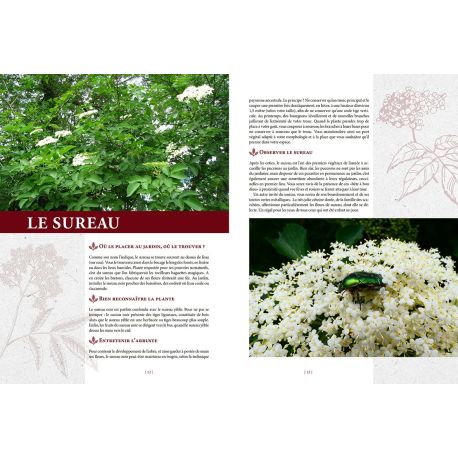 ELIXIRS GOURMANDS DES JARDINS ET DES CHAMPS