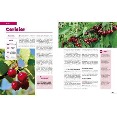 LE GRAND LIVRE DU POTAGER