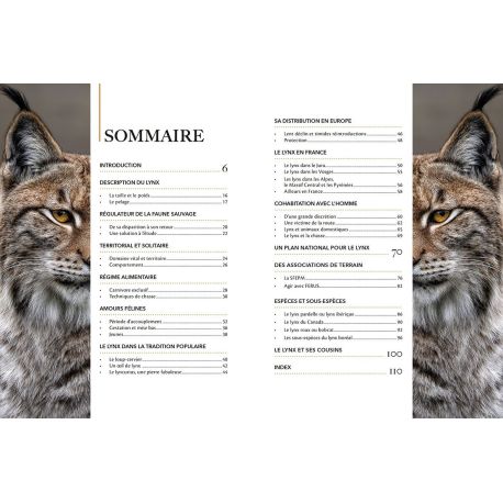 LYNX