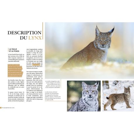 LYNX