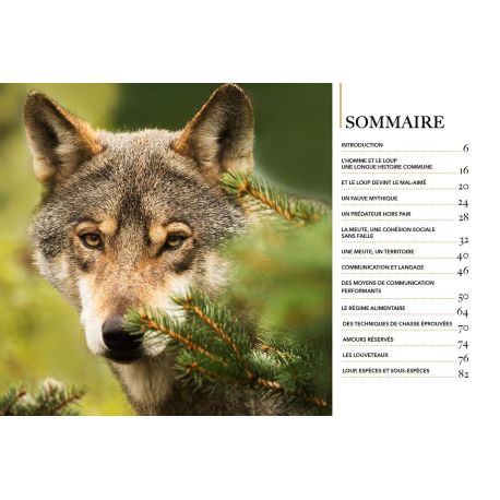 LE LOUP