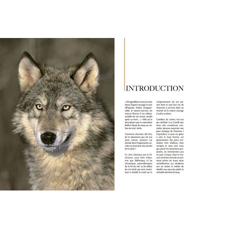 LE LOUP