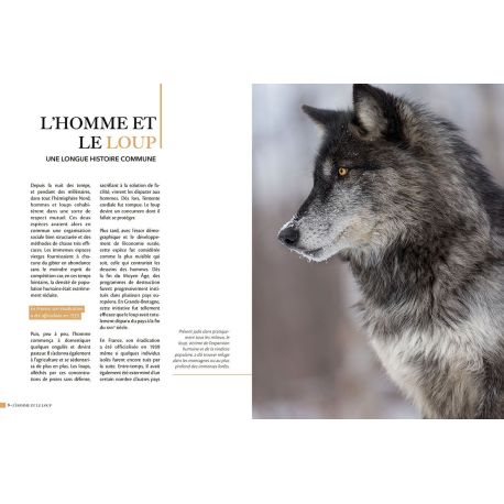 LE LOUP