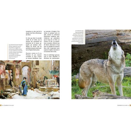 LE LOUP