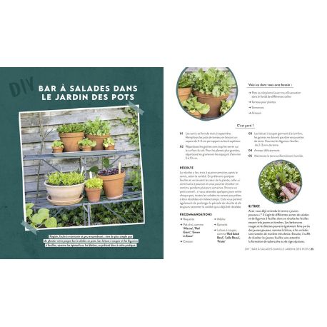 PAS LE TEMPS DE JARDINER UN POTAGER GENEREUX SANS EFFORT