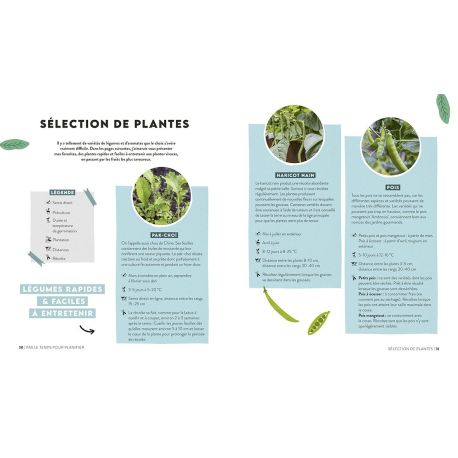 PAS LE TEMPS DE JARDINER UN POTAGER GENEREUX SANS EFFORT