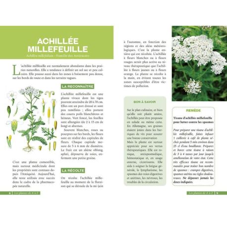 LES PLANTES SAUVAGES BIENFAISANTES ET COMESTIBLES