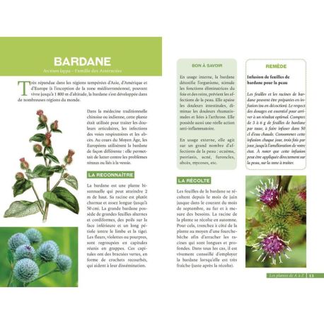 LES PLANTES SAUVAGES BIENFAISANTES ET COMESTIBLES
