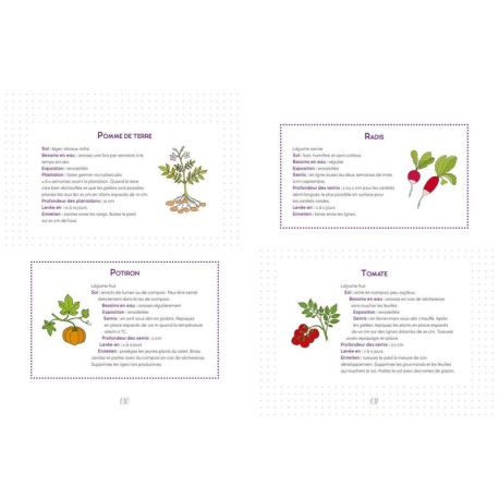 JOURNAL DE MON POTAGER