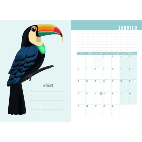 AGENDA OISEAUX 2026