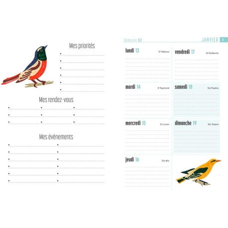 AGENDA OISEAUX 2026