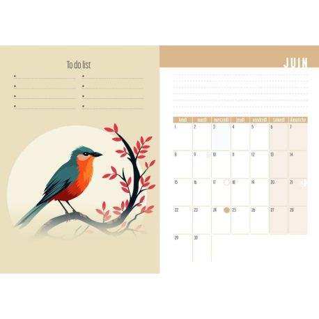 AGENDA OISEAUX 2026