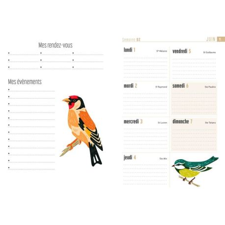 AGENDA OISEAUX 2026
