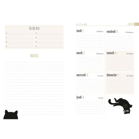 AGENDA CHAT 2026