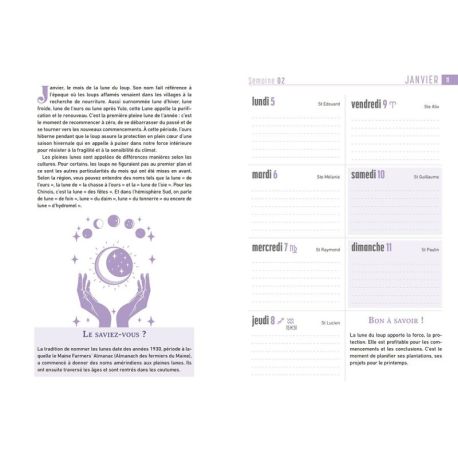 AGENDA LUNE 2026