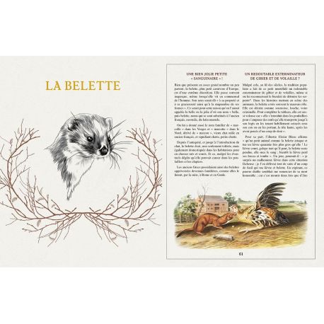 MYSTERES & LEGENDES DES ANIMAUX DE FRANCE
