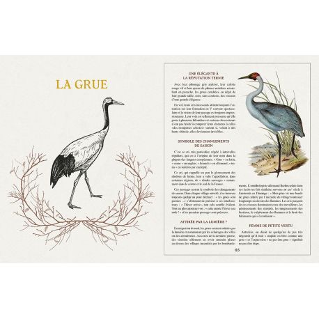 MYSTERES & LEGENDES DES ANIMAUX DE FRANCE