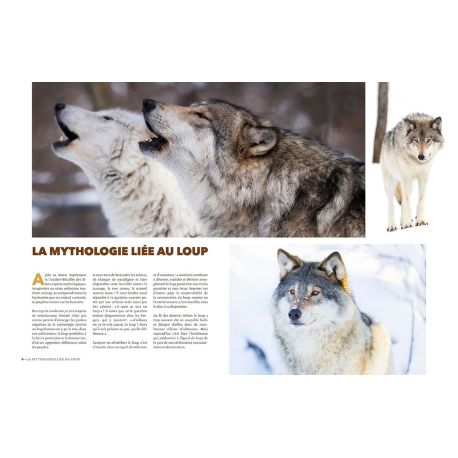 EPERDUMENT LOUPS