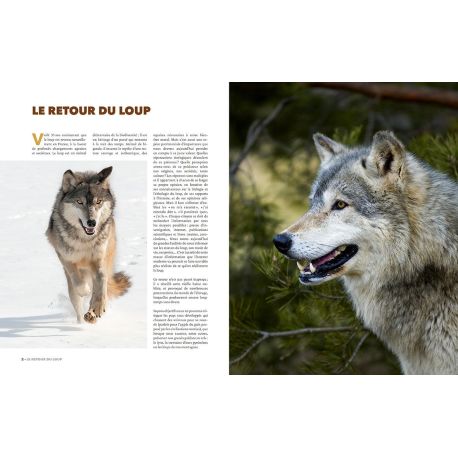 EPERDUMENT LOUPS