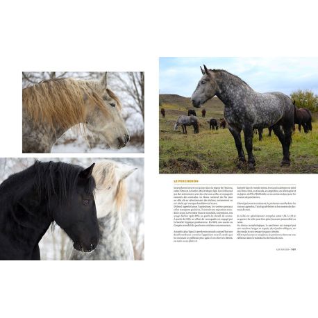 EPERDUMENT CHEVAUX