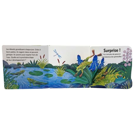 LA GRENOUILLE