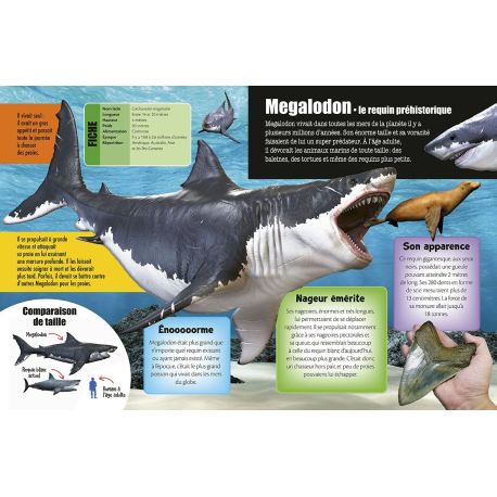 REQUINS 3D